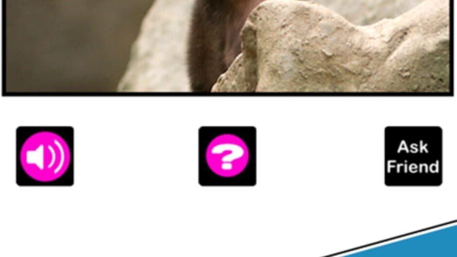 What's the Baby Animal?