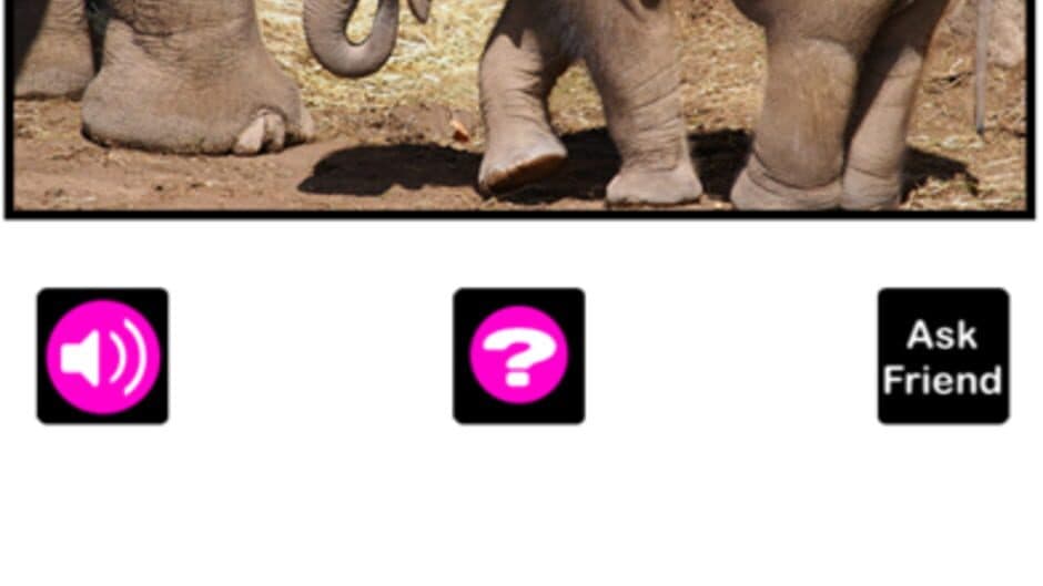 What's the Baby Animal? screenshot 5