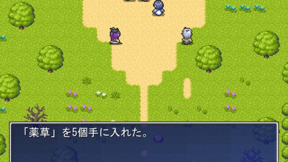 Hadelia Quest screenshot 3