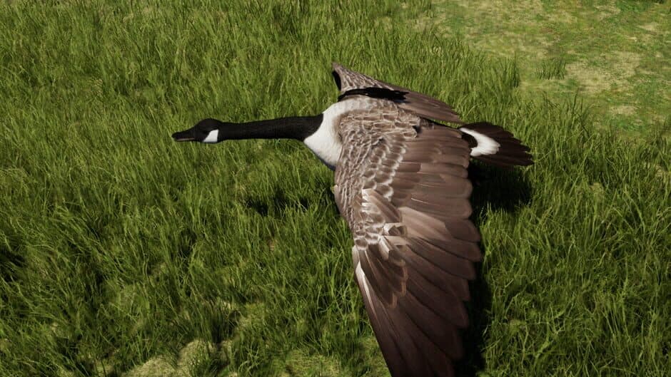 Wilderness Survival: The Conservationist screenshot 3