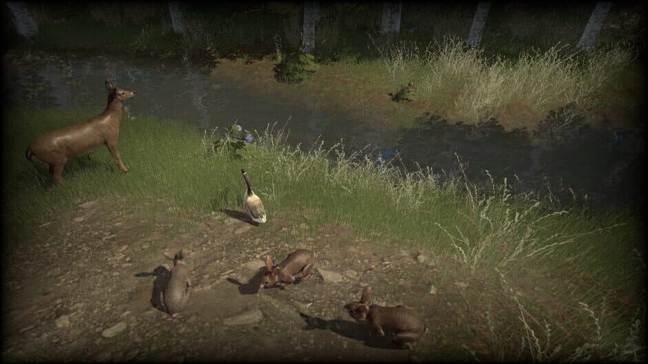 Coastline Survival screenshot 2