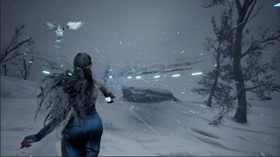 Schnee screenshot 5