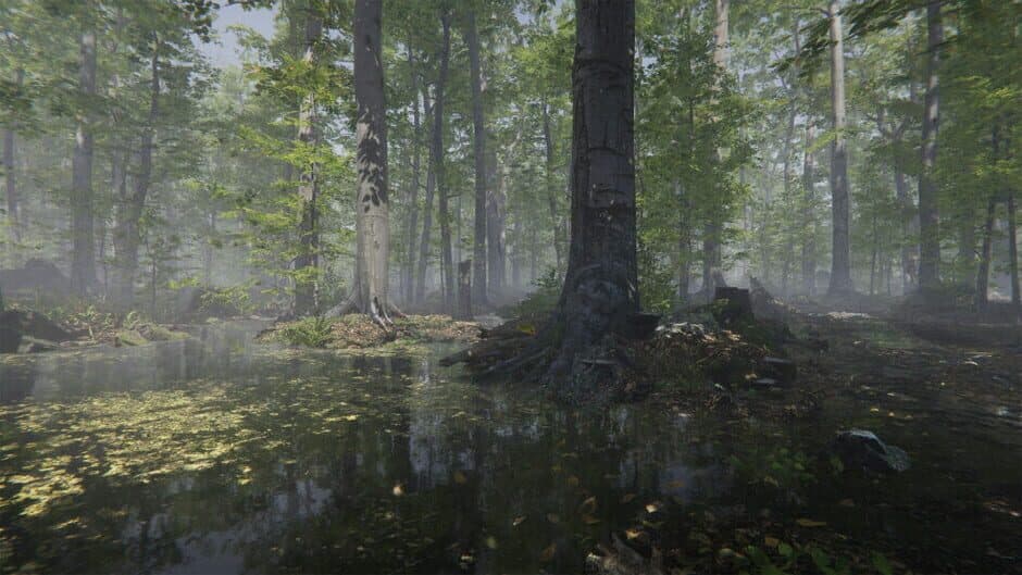 Mushroom Collector Simulator screenshot 5