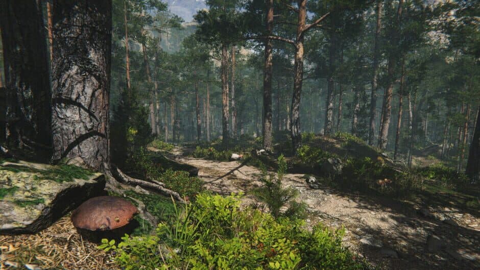 Mushroom Collector Simulator screenshot 6