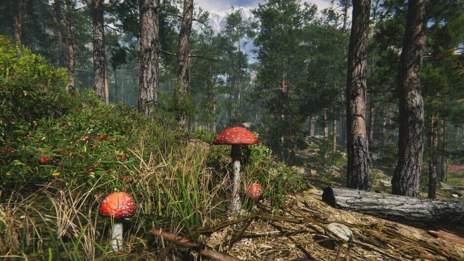 Mushroom Collector Simulator screenshot 4