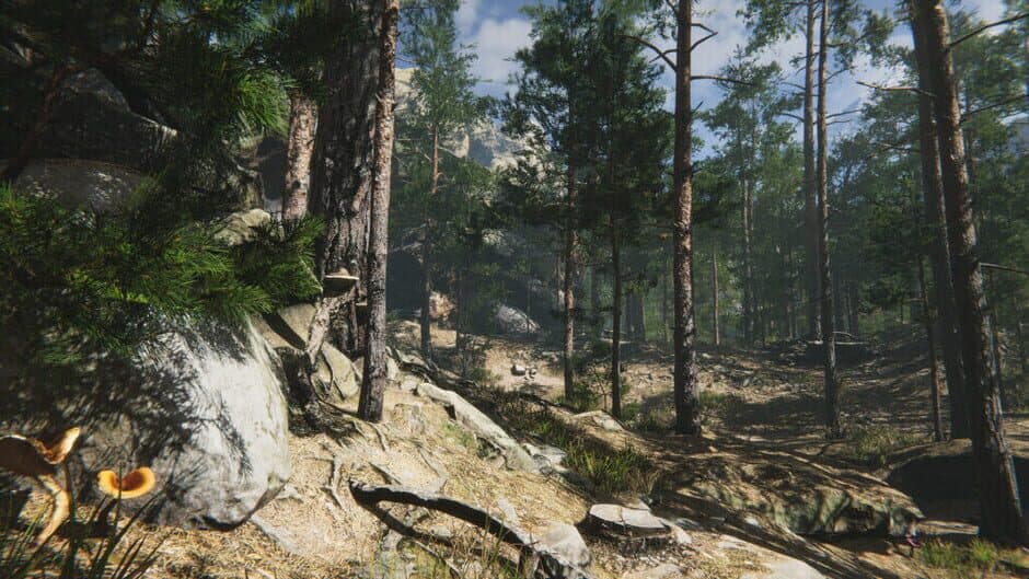 Mushroom Collector Simulator screenshot 3