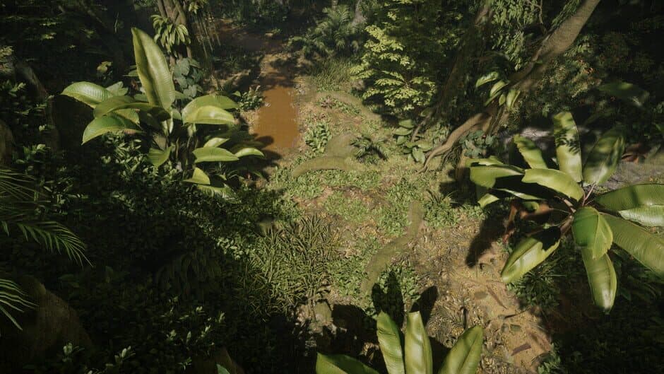 Tropica: Survival 1095 screenshot 3