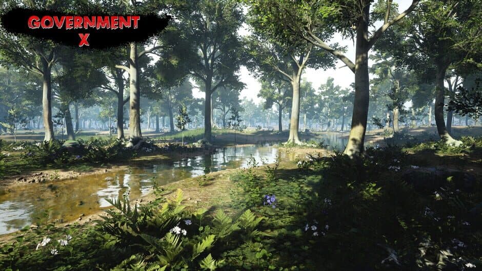 Government X screenshot 4