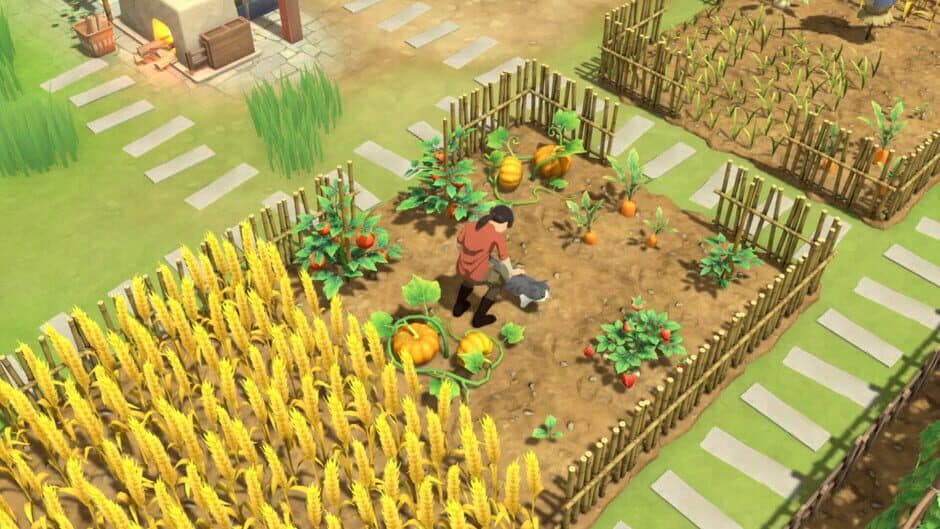 Litchi Town screenshot 6