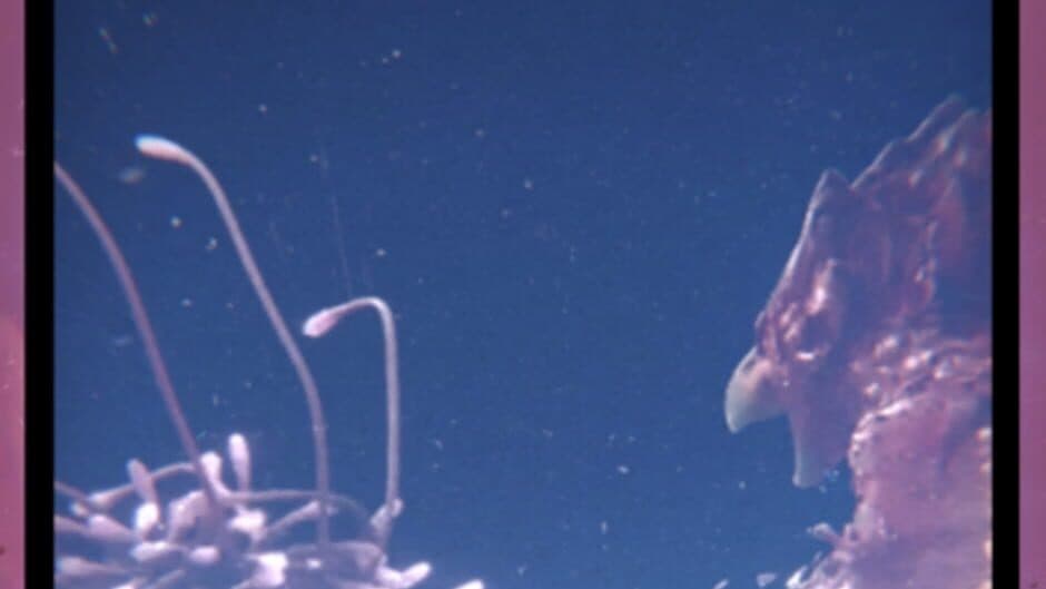 Overbeast screenshot 5