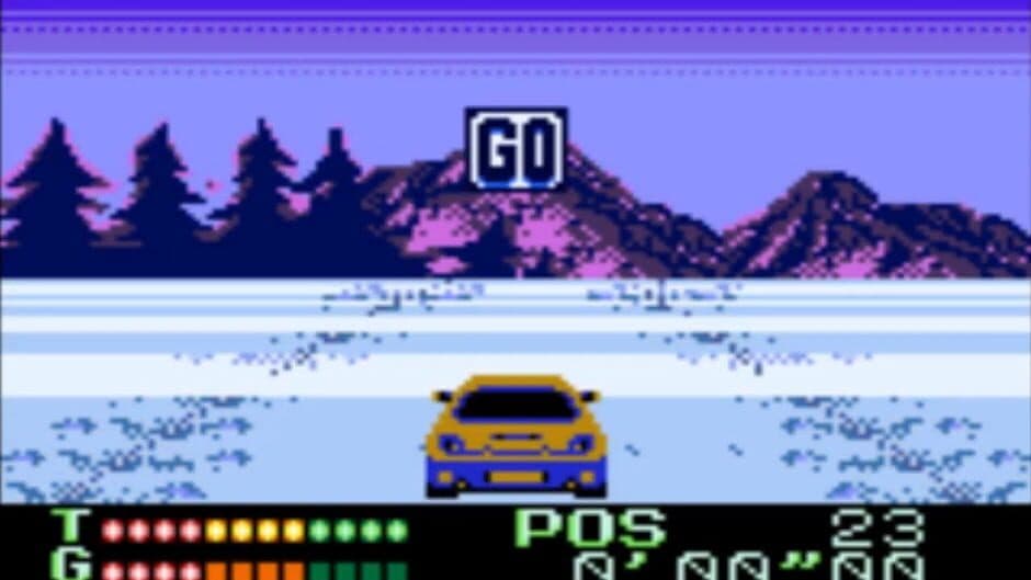International Rally screenshot 2