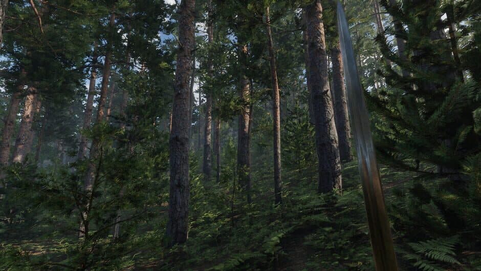 Valden Saga screenshot 5