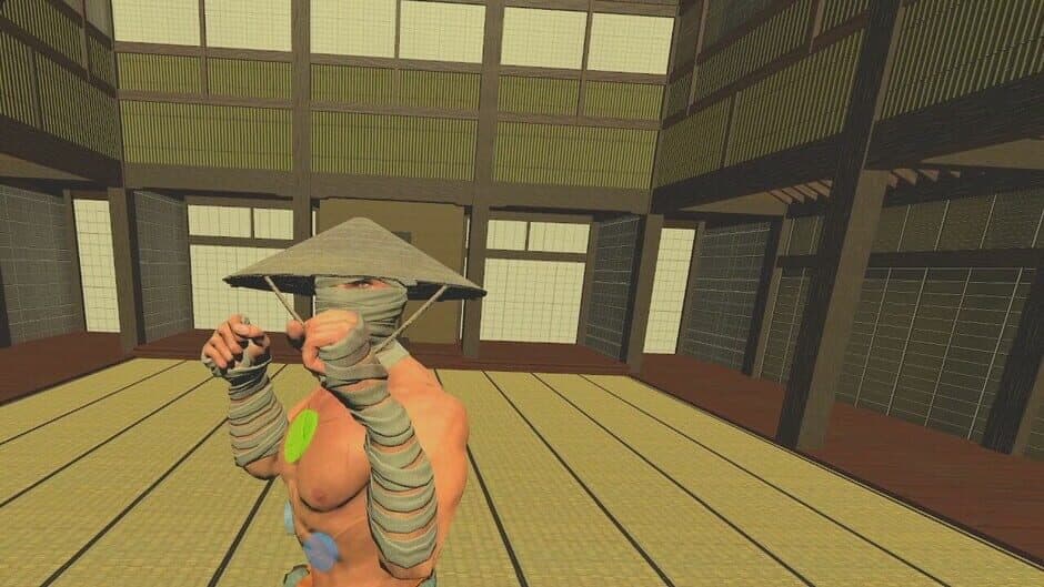 Fist of the Stray Dog