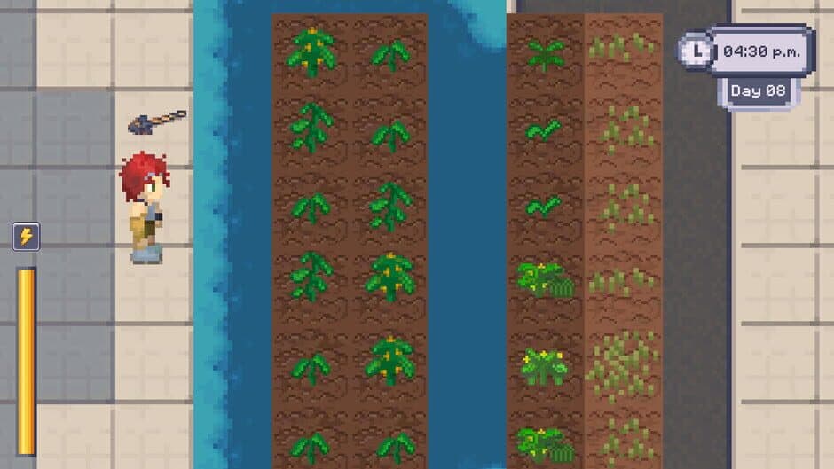 Dignacia screenshot 2