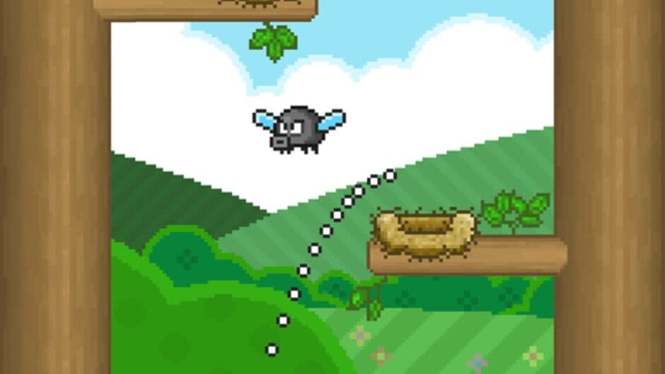 Nestor the Nesting Bird