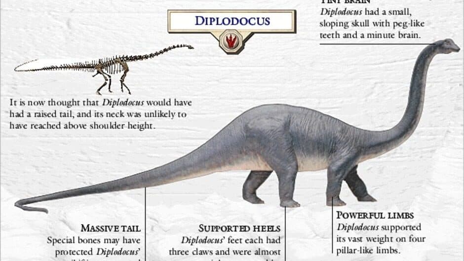 3D Dinosaur Hunter screenshot 2