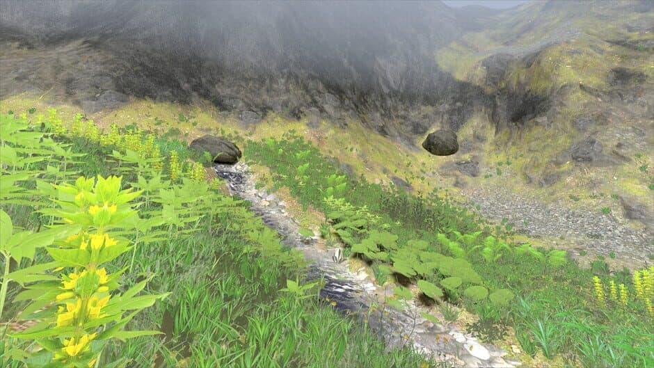 Wassermann screenshot 2