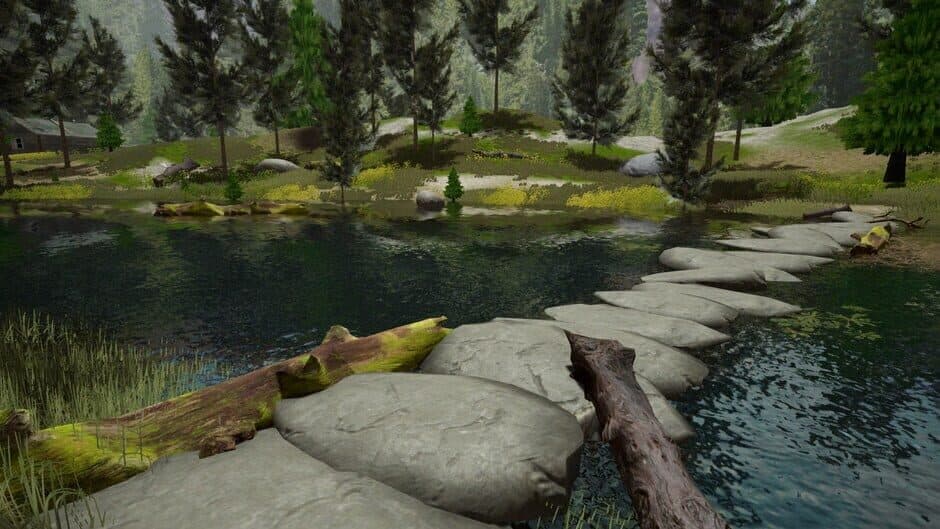 Aquatic Pursuits Bundle
