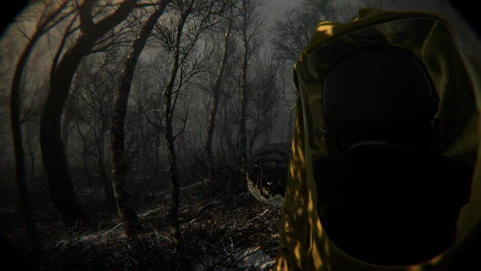 Digested screenshot 3