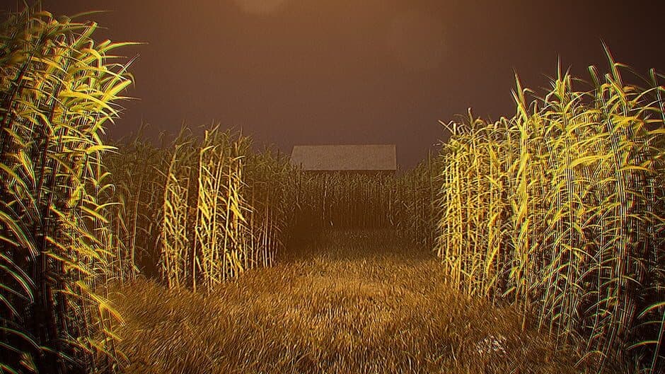 Outfield