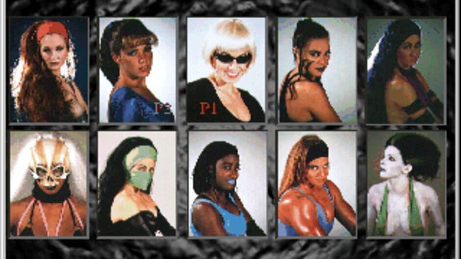 CatFight: The Ultimate Female Fighting Game