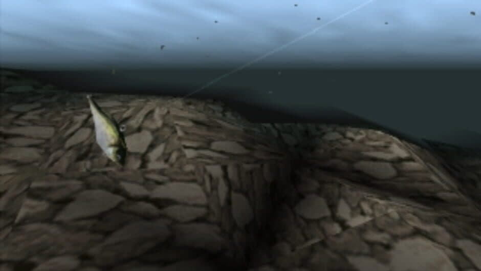 Fishing Freaks: Bass Rise Plus