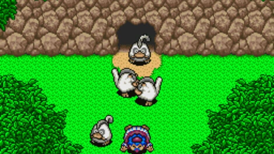 Fushigi no Dungeon: Torneko no Daibouken screenshot 3