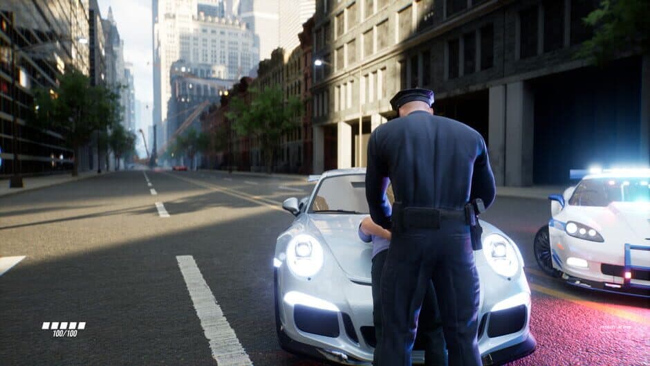 Patrol Simulator: To Protect and to Serve screenshot 6