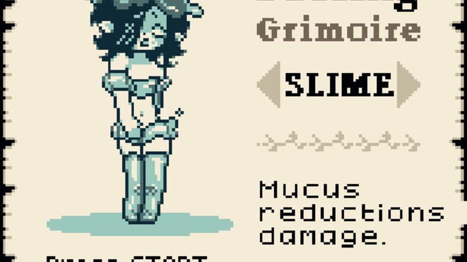 Mage and the Grimoire of Beast screenshot 4