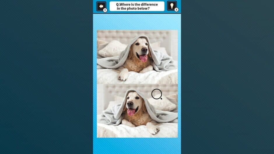 Train Your Brain! Spot the Difference with Dog Photos screenshot 4
