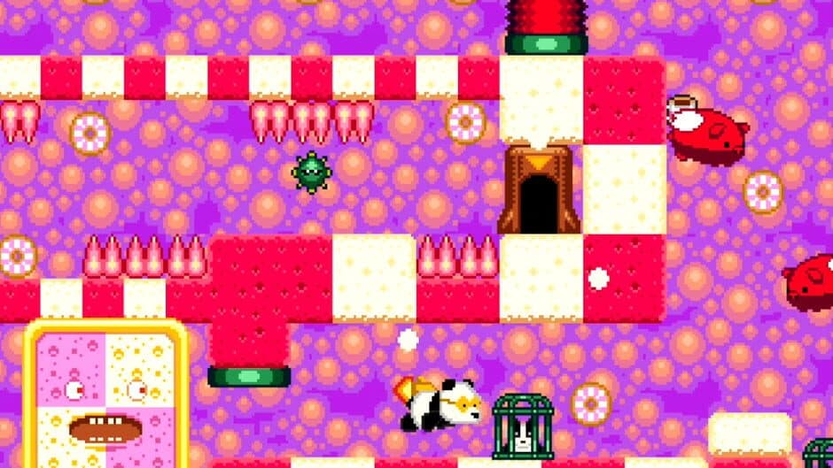 Rocket Panda