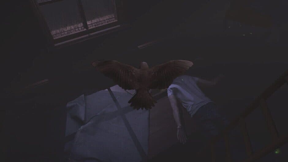 Sparrow screenshot 2