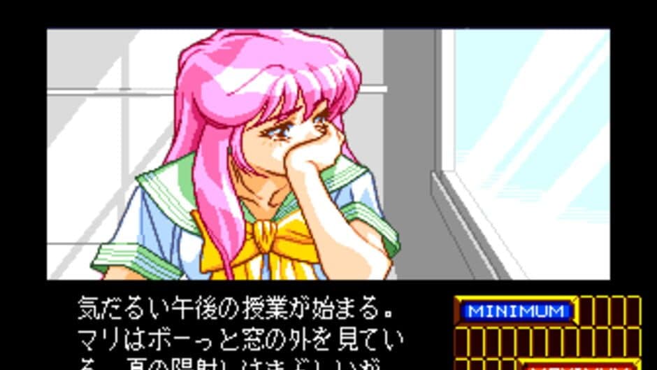 Shinsetsu Shiawase Usagi 2 screenshot 2
