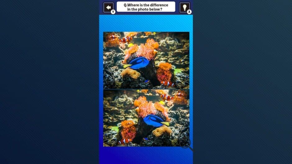 Train Your Brain! Spot the Difference With Fish Photos screenshot 4