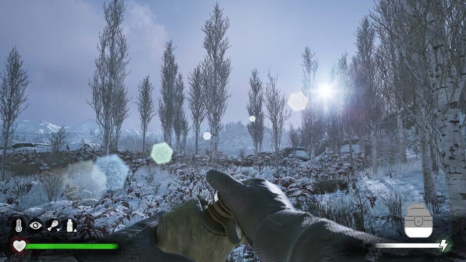 Winter Survival Simulator screenshot 3