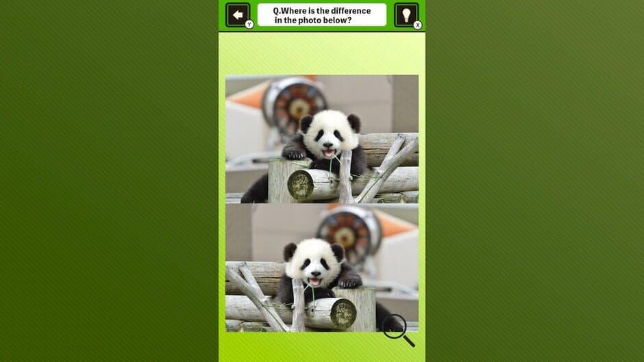 Super Kawaii! Finding Mistakes in Panda Photos screenshot 2
