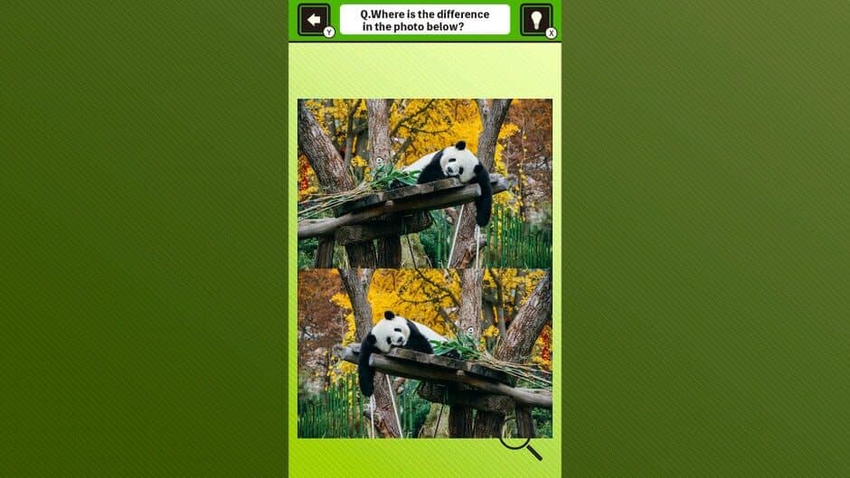 Super Kawaii! Finding Mistakes in Panda Photos screenshot 3