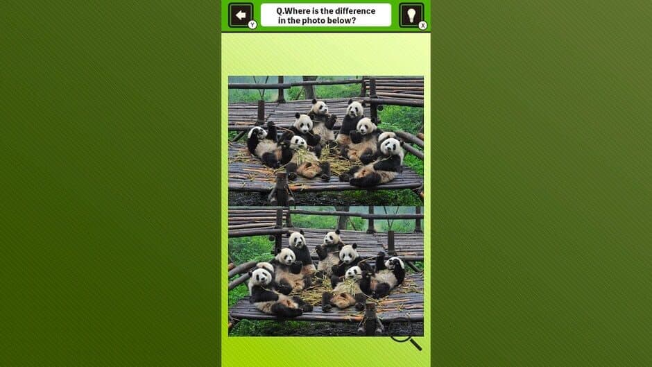 Super Kawaii! Finding Mistakes in Panda Photos