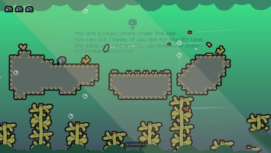 Tiny Whaley 2