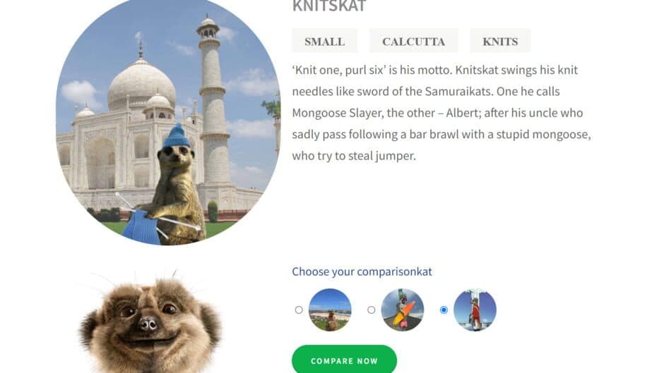 Compare the Meerkat screenshot 3