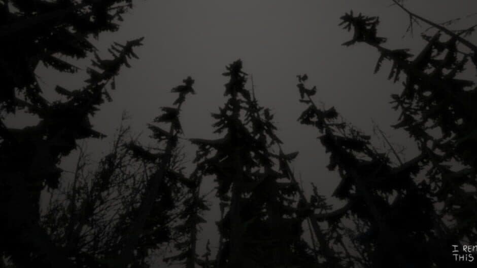 I Remember This Dream screenshot 5