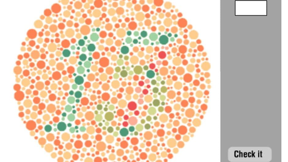 Color Vision Deficiency Test screenshot 3