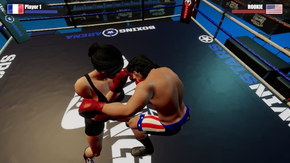 Rookie Boxing screenshot 2