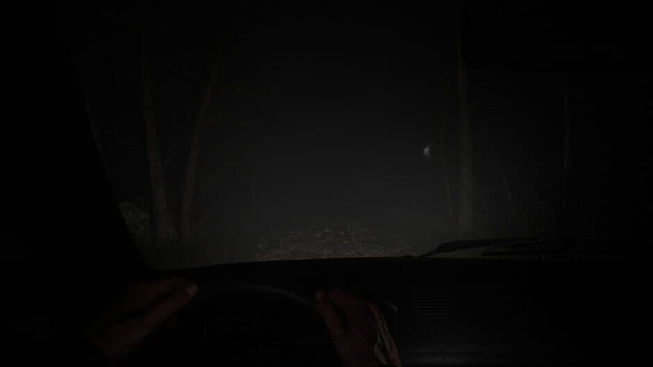 Entwine screenshot 6