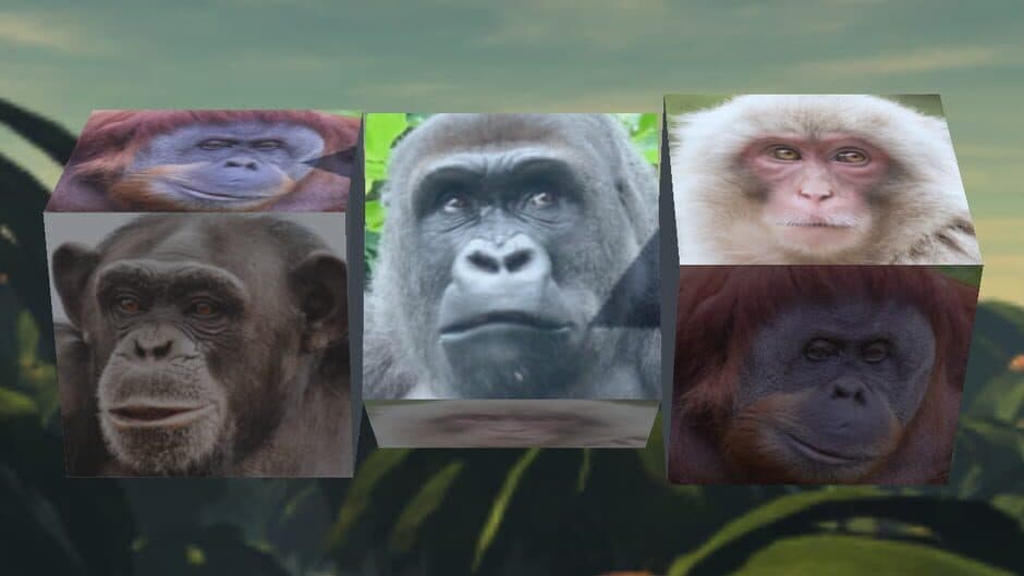 Gorilla Slot Infinity