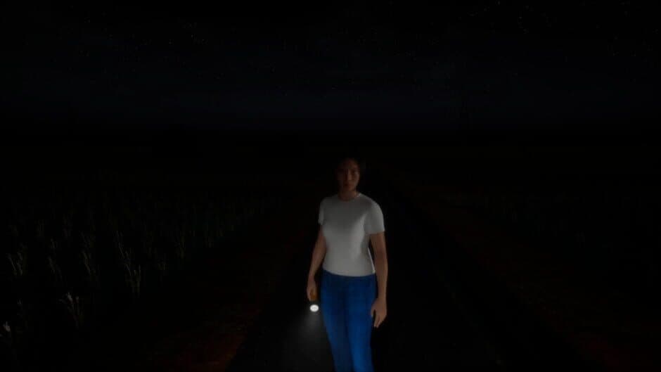 The Paddy Field screenshot 6