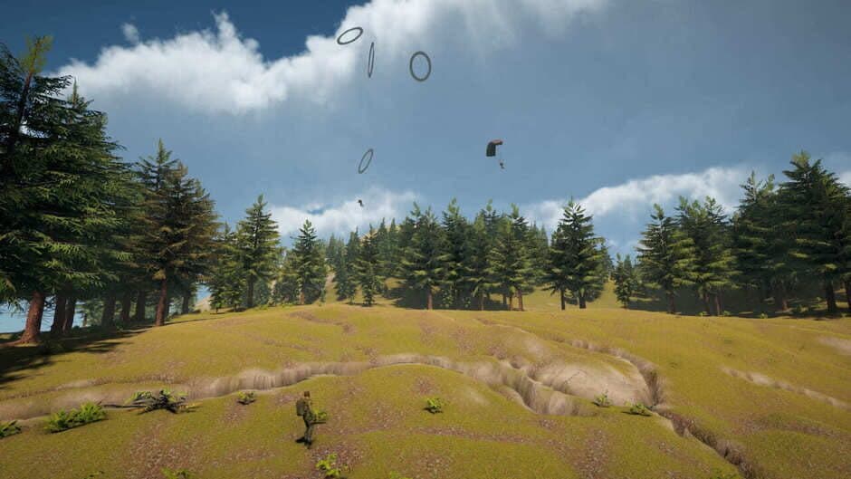 Sky Diving: Parachute Flight Simulator