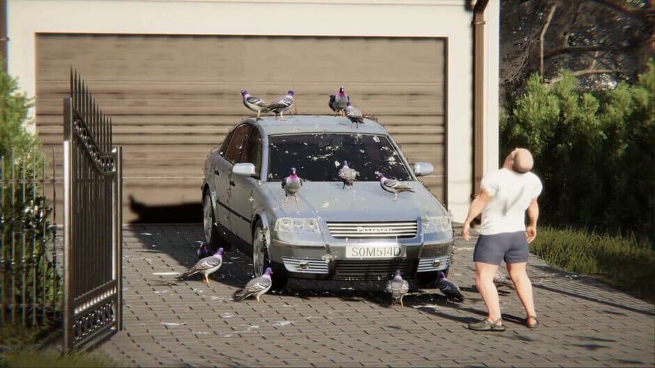Polish Simulator screenshot 4