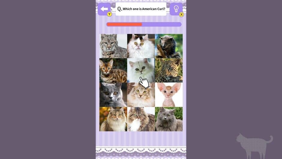 Cat Spotting Challenge! screenshot 3