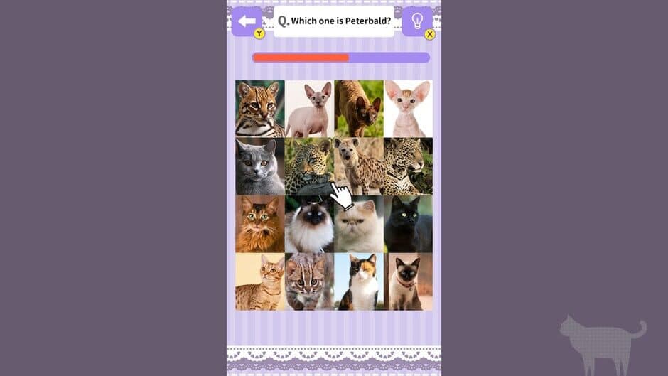 Cat Spotting Challenge! screenshot 4